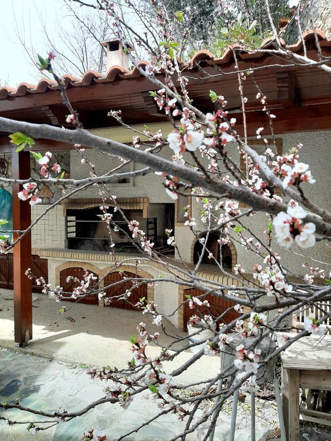Iro'S House Apartment Chania  ภายนอก รูปภาพ